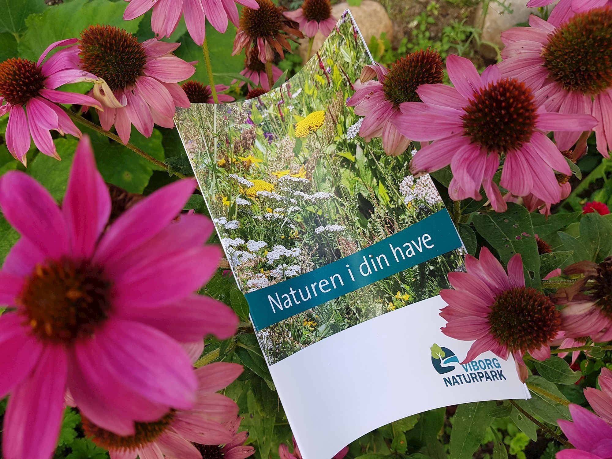 Hæfte der hedder Naturen i din have