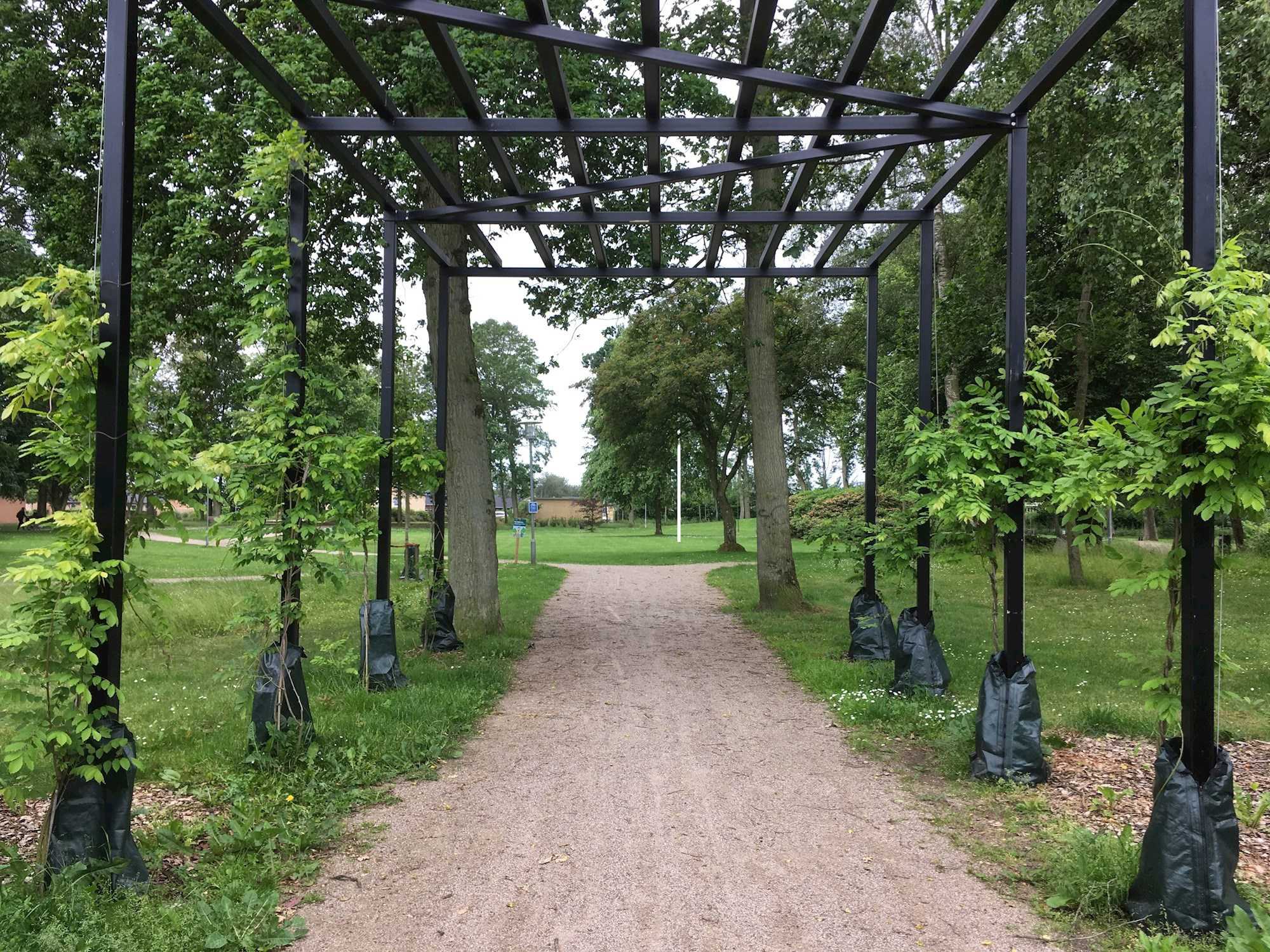 Pergola ved indgange.