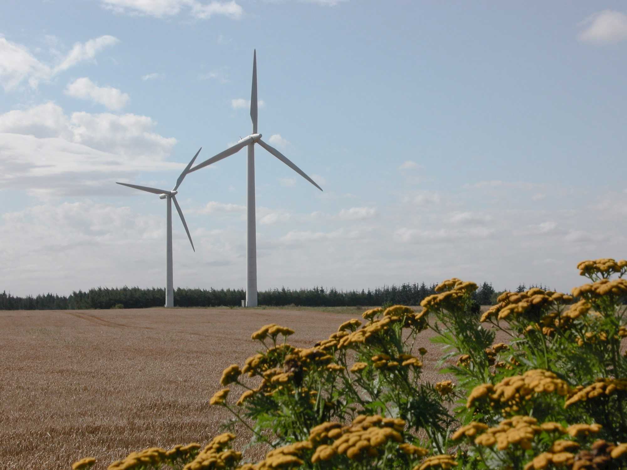 To vindmøller ved Karup